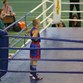 Итоги первенства Пензенской области по боксу