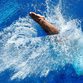 Всесоюзные соревнования по прыжкам в воду стартуют в Воронеже