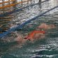 Соревнования по плаванию среди районов Пензенской области с плавательными бассейнами