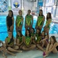 Пензенская команда по водному поло примет участие во втором туре первенства России среди девушек до 17 лет